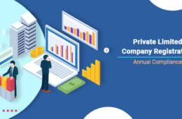 private-Limited-Company-Registration-Annual-Compliance-and-filings